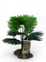 Biotech Plants Help Clean Environment